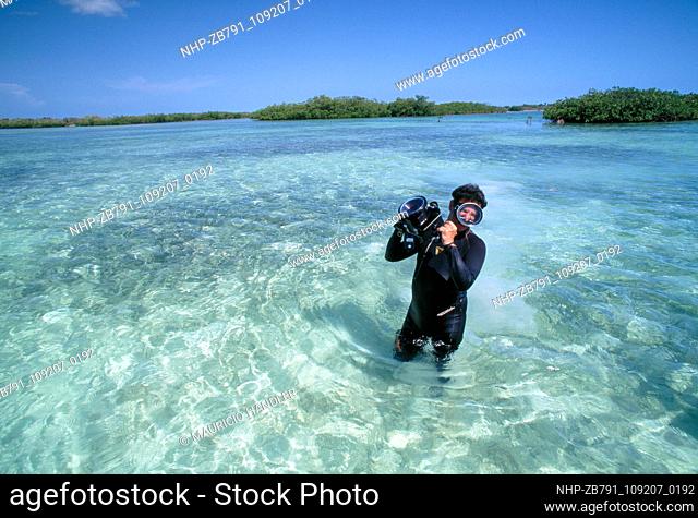 David Doubilet at work - Jardines De la Rein, Cuba.  Date: 22/03/2004  Ref: ZB791-109207-0192  COMPULSORY CREDIT: Oceans Image/Photoshot