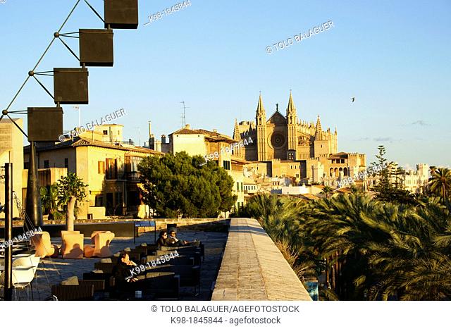 Mallorca Cathedral from the terrace of Baluard, Baluard Museum of Modern and Contemporary Art of Palma, Palma Mallorca Balearic Islands Spain