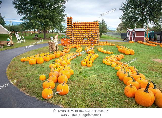Decorative house made of pumpkins in Elkton, Maryland, USA