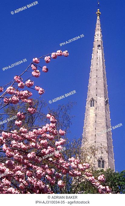 The 315ft spire of Norwich Cathedral
