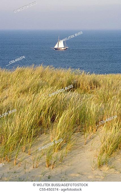 Parnidis dune, Curonian Spit. Lithuania