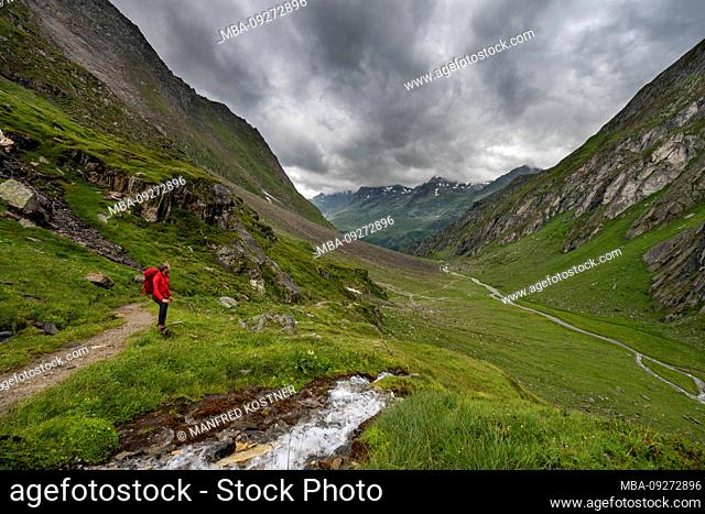 Prettau, Ahrntal, province of Bolzano, South Tyrol, Italy. A hiker climbs through the Windtal to the Lenkjöchlhütte