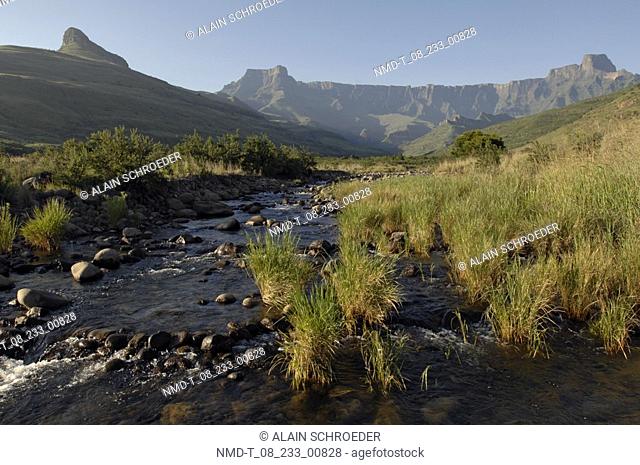 Stream passing through a field, Royal Natal National Park, North Drakensberg Mountain, Kwazulu-Natal, South Africa