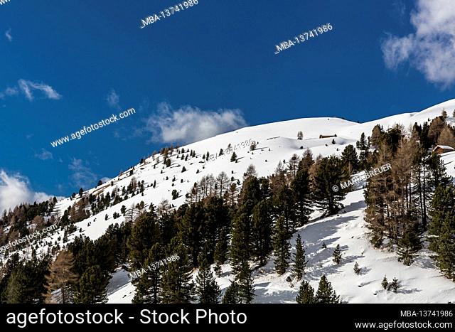 Snowy landscape in Val Gardena, Grödner Joch, Sellaronda, South Tyrol, Alto Adige, Dolomites, Italy, Europe