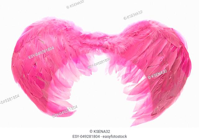 pink feathers isolated on white background