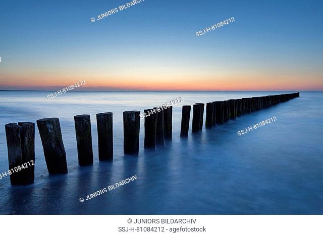 Timber groyne at the Baltic Sea coast. Mecklenburg-Vorpommern, Germany