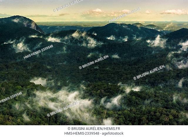 France, Guyana, French Guyana Amazonian Park, heart area, the evening mists in the Amazon rainforest