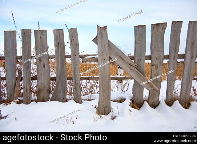 Old wooden fence and field grown with weeds