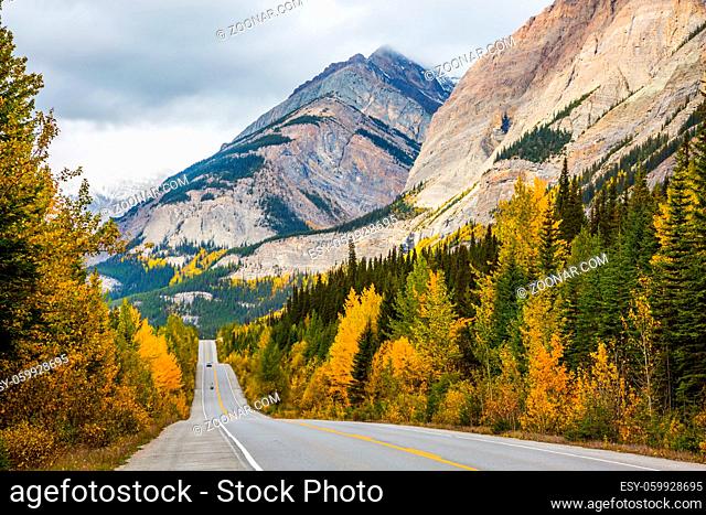 Yellow and evergreen forests along the road 93. Powerful granite rocky mountains of Canada. The concept of active and automobile tourism