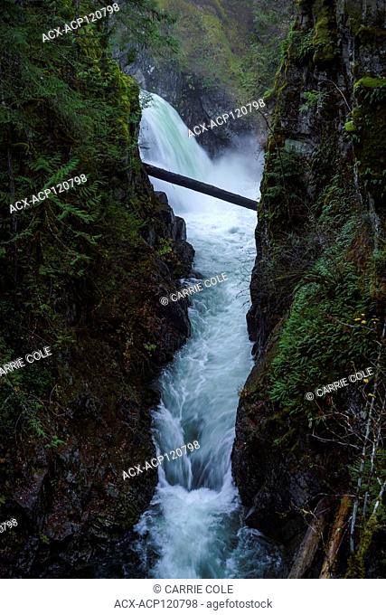 Little Qualicum Provincial Park, Parksville, Qualicum, British Columbia, Vancouver Island, Canada, Waterfall