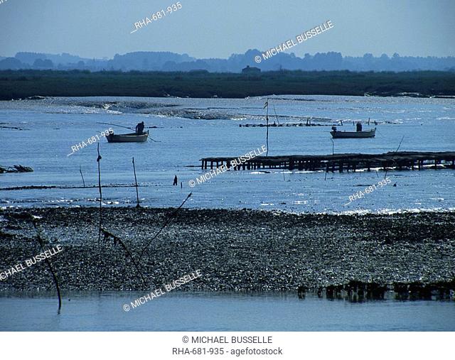 Men in small boats working the oyster beds at Mornac sur Seudre, Poitou Charentes, France, Europe