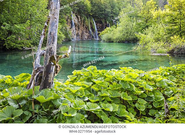 Plitvice Lakes National Park. Lika Plješivica mountain range . The park falls within two counties Lika-Senj and Karlovac