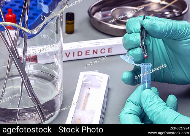 Police scientist holds piece of swab in vial to analyse dna traces from homicide in crime lab, concept image