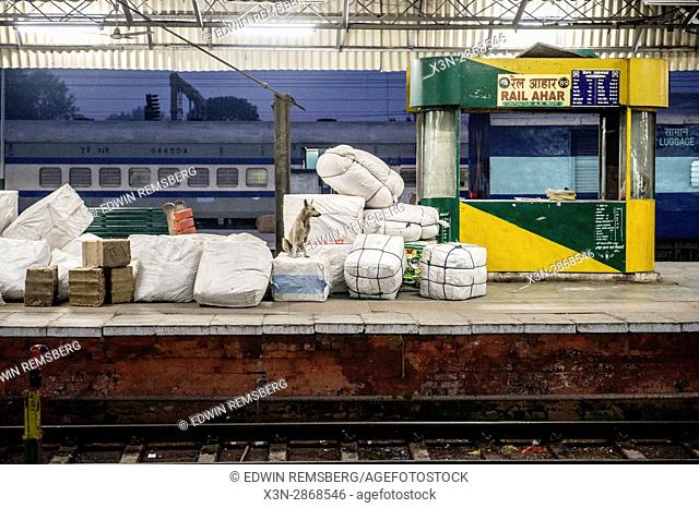 A dog at the Ludhiana Junction railway station sits on top of a large package in the midst of a pile of packages