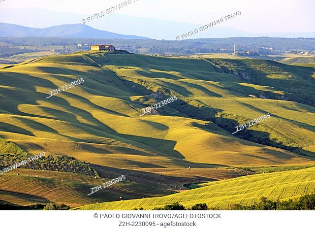 Typical scenary of Crete Senesi, Asciano, Siena, Tuscany, Italy