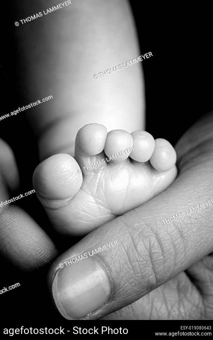 Fuß eines Säuglings