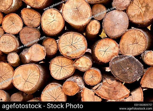Pile of logs cut for firewood