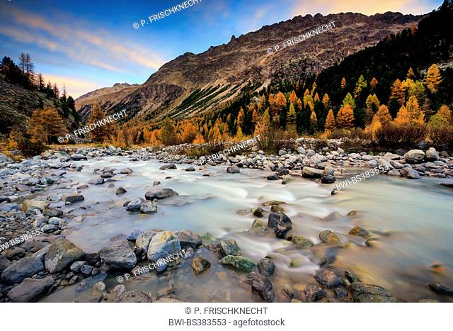 Piz Palue, 3905 m, Piz Bernina, 4049 m, Piz Morteratsch, 3751 m at sunrise, Switzerland, Grisons, Oberengadin