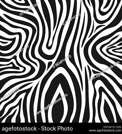 Wavy black and white zebra fur texture - Vector illustration