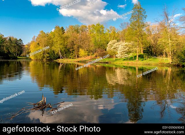 Trees on the shore of the Lake at the Ehrenmal Wittringen reflecting in the water, Gladbeck, North Rhine Westphalia, Germany