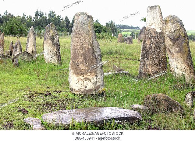 Tiya stelae 80 km. South of Addis Ababa on the road to Butajira. UNESCO's world heritage list. Ethiopia