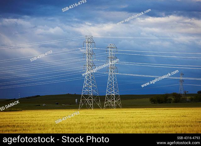 High voltage power lines and power line towers, California
