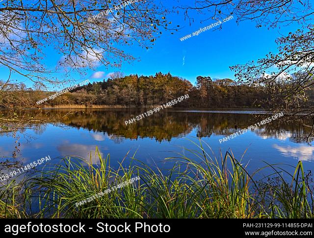 26 November 2023, Brandenburg, Falkenhagen: Autumn at the mill pond. Photo: Patrick Pleul/dpa. - Falkenhagen/Brandenburg/Germany