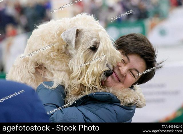 RUSSIA, MOSCOW REGION - NOVEMBER 19, 2023: An owner with a Soft-coated Wheaten Terrier dog at the Eurasia Dog Show 2023 at the Crocus Expo International...