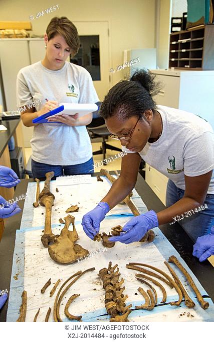 Waco, Texas - Forensic scientist Dr. Lori Baker and her students at Baylor University work to identify the remains of unidentified migrants who died trying to...