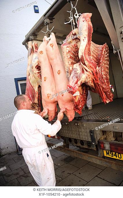 Delivering locally produced fresh welsh beef and pork to a butcher in Newport Pembrokeshire Wales UK
