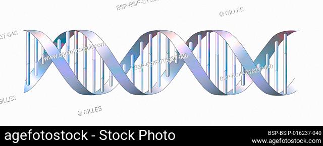 DNA double helix structure with adenine, thymine, cytosine, guanine