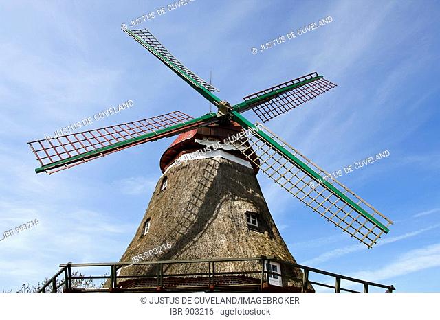 One-storeyed Galeriehollaender Windmill, historic windmill named Lindaumuehlenholz in Boren-Lindau on the Schlei River, Schleswig-Holstein, Germany, Europe