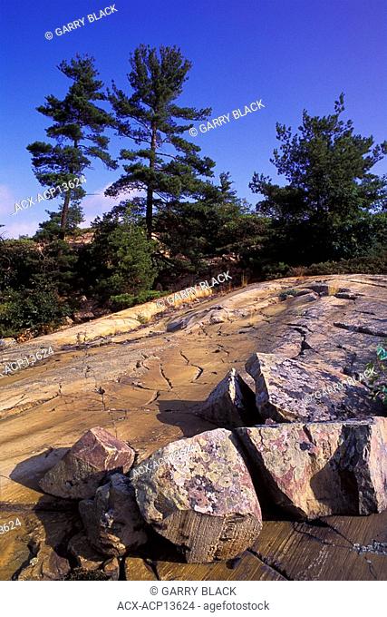 Granite Bedrock of the Canadian Shield and Pine Trees, Whitefish Falls, North of Manitoulin Island, Georgian Bay, Lake Huron, Ontario, Canada