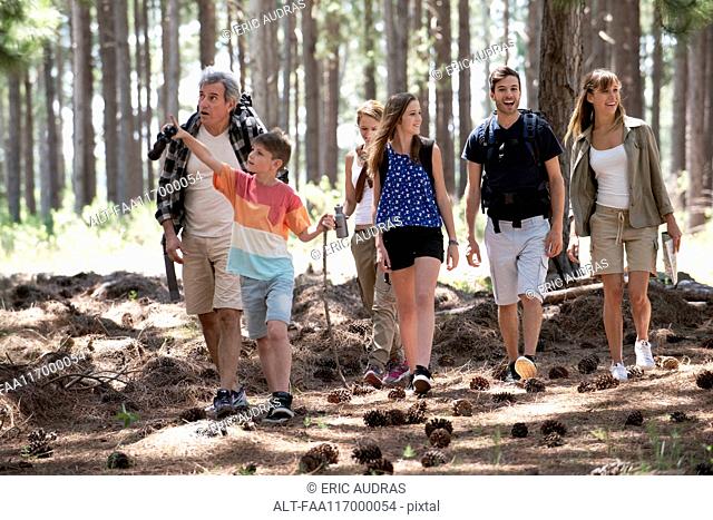 Family hiking in forest