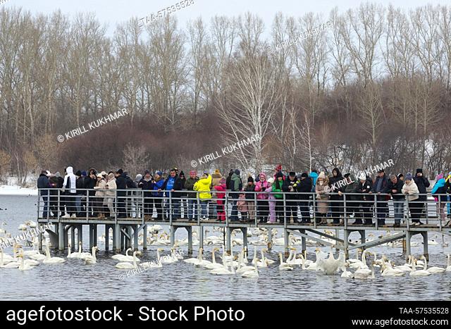 RUSSIA, ALTAI REGION - FEBRUARY 24, 2023: People are seen on an observation deck on Lake Svetloye (Lebedinoye) in the Lebediny Nature Reserve
