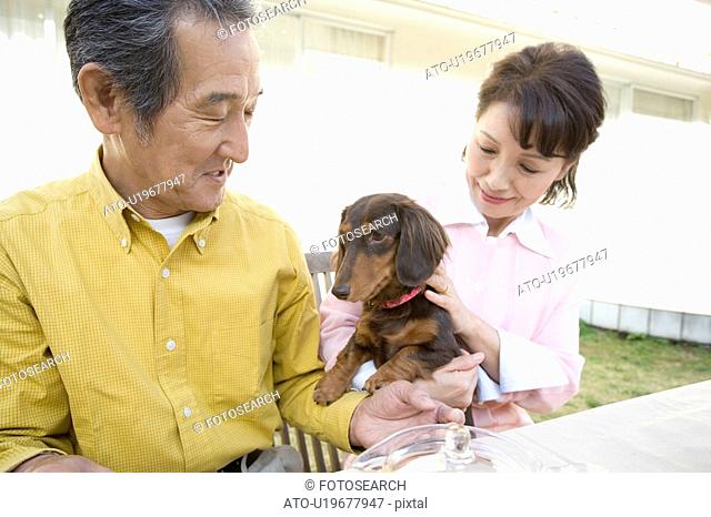 A Senior Adult Couple Having a Break with a Dog in a Garden, Front View, Side View, High Angle View