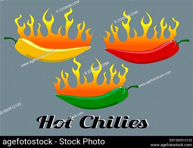 Hot Chilies with flames, food concept vector illustration