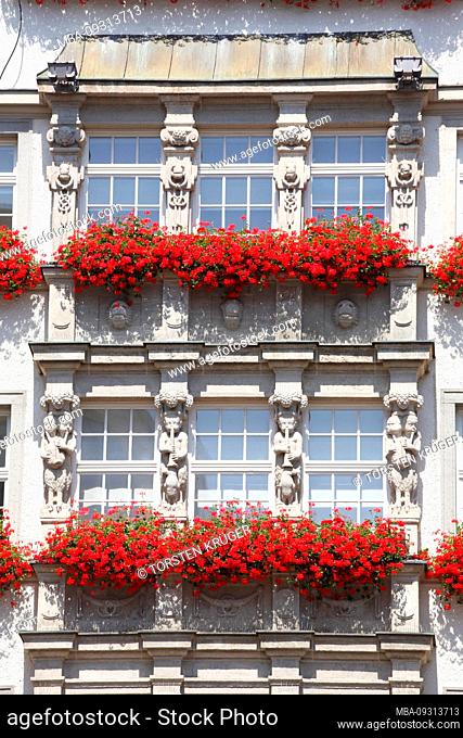 Window front with geraniums, department store Hirmer, Kaufingerstraße, Munich, Upper Bavaria, Bavaria, Germany, Europe