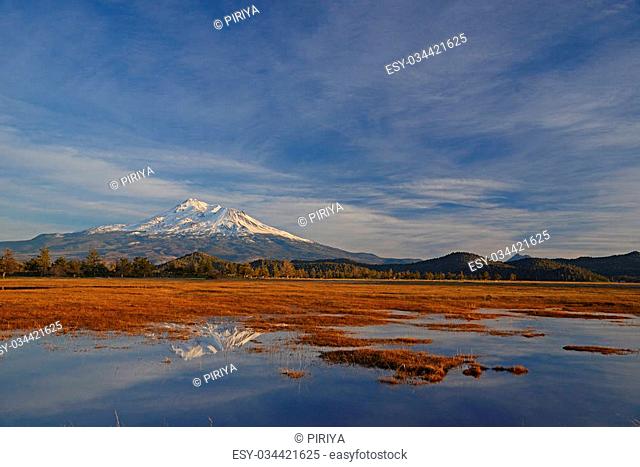 snow capped mount shasta with a blue sky