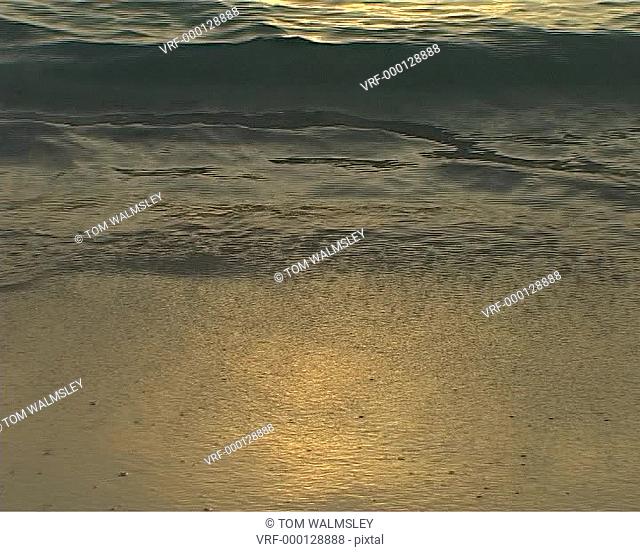 Gentle waves lapping beach at sunset. Bimini Bahamas