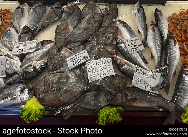 Fresh Peter fish (Zeus faber), left and right Temperate basses (Moronidae) on ice, fish market, Venice, Veneto, Italy, Europe