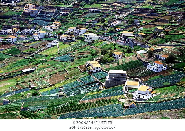 Die Landwirtschaft beo Santo Antonio bei Funchal im sueden der Insel Madeira im Atlantischen Ozean, Portugal