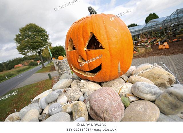 hollowed-out pumpkin with geschnitzem face for halloween festival on a pile of stones in a rural location