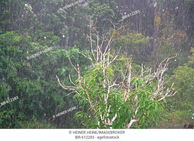 Tropical rains, Kaieteur Waterfalls, Potaro National Park, Guyana, South America