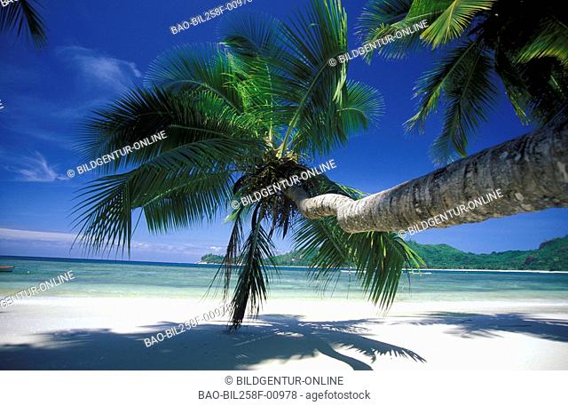 A dream beach on the island Praslin on the Seychelles in the Indian ocean