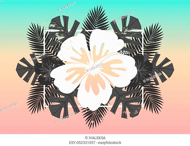 White hibiscus flower and black and white palm tree leaves exotic summer composition. Pastel blue, orange and pink ombre background
