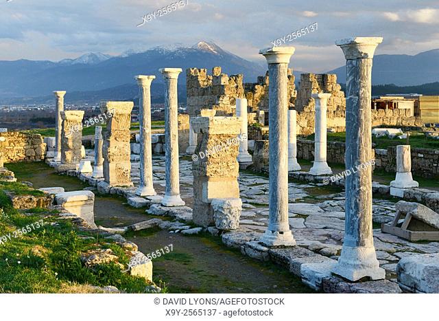 Greek Roman city of Laodicea aka Laodikeia on the Lycos. Main street the Syrian Road at eastern Byzantine gate. Denizli, Turkey