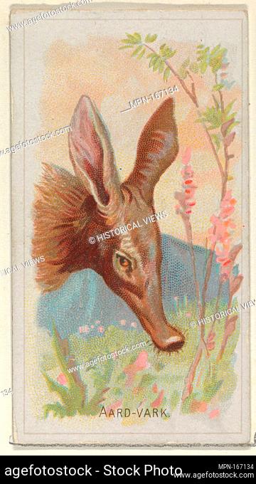 Aardvark, from the Wild Animals of the World series (N25) for Allen & Ginter Cigarettes. Publisher: Allen & Ginter (American, Richmond