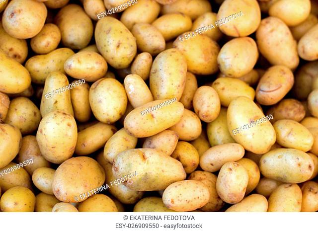 Young potatoes on a market