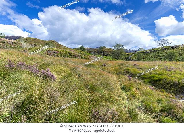 Cwm Bychan and Aberglaslyn Pass walk, Snowdonia National Park, Beddgelert, Gwynedd, Wales, UK, Europe